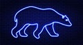 Neon winter sign. The contour of the white polar bear in shades of blue.