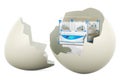 Neonatal incubator inside eggshell. World Prematurity Day, concept. 3D rendering