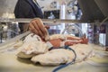 Neonatal Intensive Care