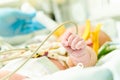 newborn baby in incubator at neonatal resuscitation center Royalty Free Stock Photo