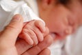 A neonate and its hand Royalty Free Stock Photo