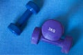 Neoprene coated iron dumbbells, a pair of three kg and a single of two kg