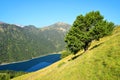 Neouvielle national nature reserve, lake Lac de l`Oule, French Pyrenees. Royalty Free Stock Photo