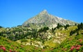 Neouvielle national nature reserve, mount Pic de Bastan, French Pyrenees.