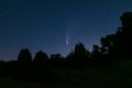 Neowise comet C/2020 F3 above night forest