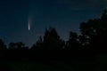 Neowise comet C/2020 F3 above night forest Royalty Free Stock Photo
