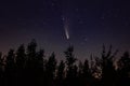 Neowise comet C/2020 F3 above night forest Royalty Free Stock Photo