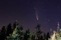 Neowise comet C/2020 F3 above night forest