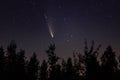 Neowise comet C/2020 F3 above night forest Royalty Free Stock Photo