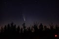 Neowise comet C 2020 F3 above night forest Royalty Free Stock Photo