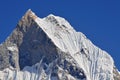 Nepal, Annapurna Conservation Area, Machapuchare or Machhapuchhre Fish