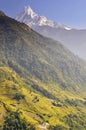 Nepal, Annapurna Conservation Area, Terraced fields and Machapuchare or Machhapuchhre Fish Tail, mountain in the Annapurna Himal