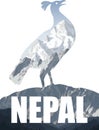 Nepal illustration with himalayan monal Royalty Free Stock Photo