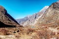 Nepal Langtang valley Royalty Free Stock Photo