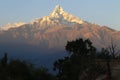 Nepal. Machapuchare mountine. (Fish Tale)