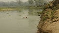 Nepalese children swimming in the river.