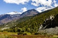 Nepalese farmers in the middle of a brown cereal field with mountains in the background