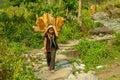 Nepalese girl carry big basket with wood logs