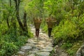Nepalese girls carry big basket with wood logs