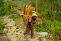 Nepalese girls carry big basket with wood logs