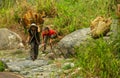 Nepalese little girl carry big basket with wood logs