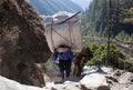 Nepalese porter carrying a heavy load, Nepal Himalayas Royalty Free Stock Photo