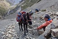 Nepalese porter with horse at the pass