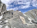 Nepalese sherpa porter goes down from Cho La pass in Sagarmatha national park Royalty Free Stock Photo