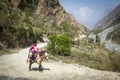 Nepalese villager on horse in Himalaya mountains