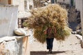 Nepalese woman carries a large haystack on her head, on the street in the village of Chami. Nepal.