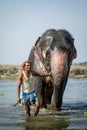 Nepali elephant trainer coming out of the water with elephant, Chitwan National Park, Nepal