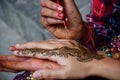 Nepali girl artist use henna ink write drawing paint mehndi henna tattoo as body art pattern on hand of travelers thai women Royalty Free Stock Photo