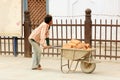 Nepali man carries bricks in a wheelbarrow in Kathmandu, Nepal o Royalty Free Stock Photo