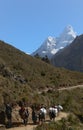 Nepali porters in the Everest trail Royalty Free Stock Photo