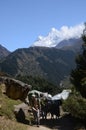 Nepali porters in the Himalaya Royalty Free Stock Photo