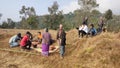 Nepali villagers are cutting meat on the maize field