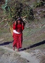 Nepali woman carrying forage back to her village