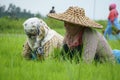 Nepali women working in the farmland. Royalty Free Stock Photo