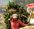 A nepali working woman in traditional cloths