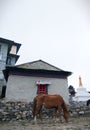 Nepalise authentic house and horse
