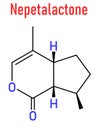 Nepetalactone catnip cat attractant molecule. Skeletal formula.