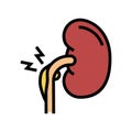 nephritic syndrome color icon vector illustration