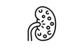 nephritis kidney line icon animation