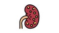nephritis kidney color icon animation