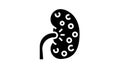 nephritis kidney glyph icon animation