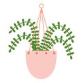 Nephrolepis with four leaf in hanging ceramic pot