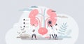 Nephrologist as kidney and bladder professional doctor tiny person concept