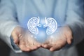 Nephrologist doctor, kidney specialist. Aesthetic handdrawn highlighted illustration of human kidney. Neutral grey background,