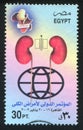 Nephrology congress emblem