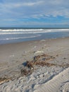 Neptune Beach Florida sand ocean Royalty Free Stock Photo